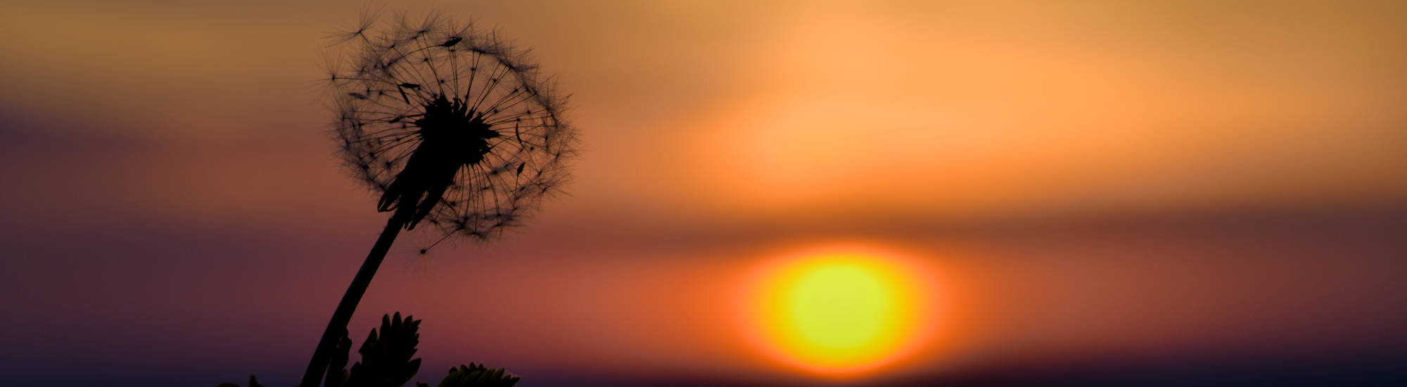 Roter Abendhimmel durch Saharastaub im Frühling 2022.